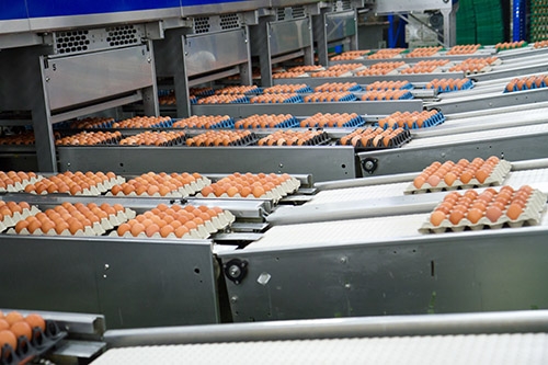 POULTRY PRODUCTS, EGGS AND EGG PRODUCTS